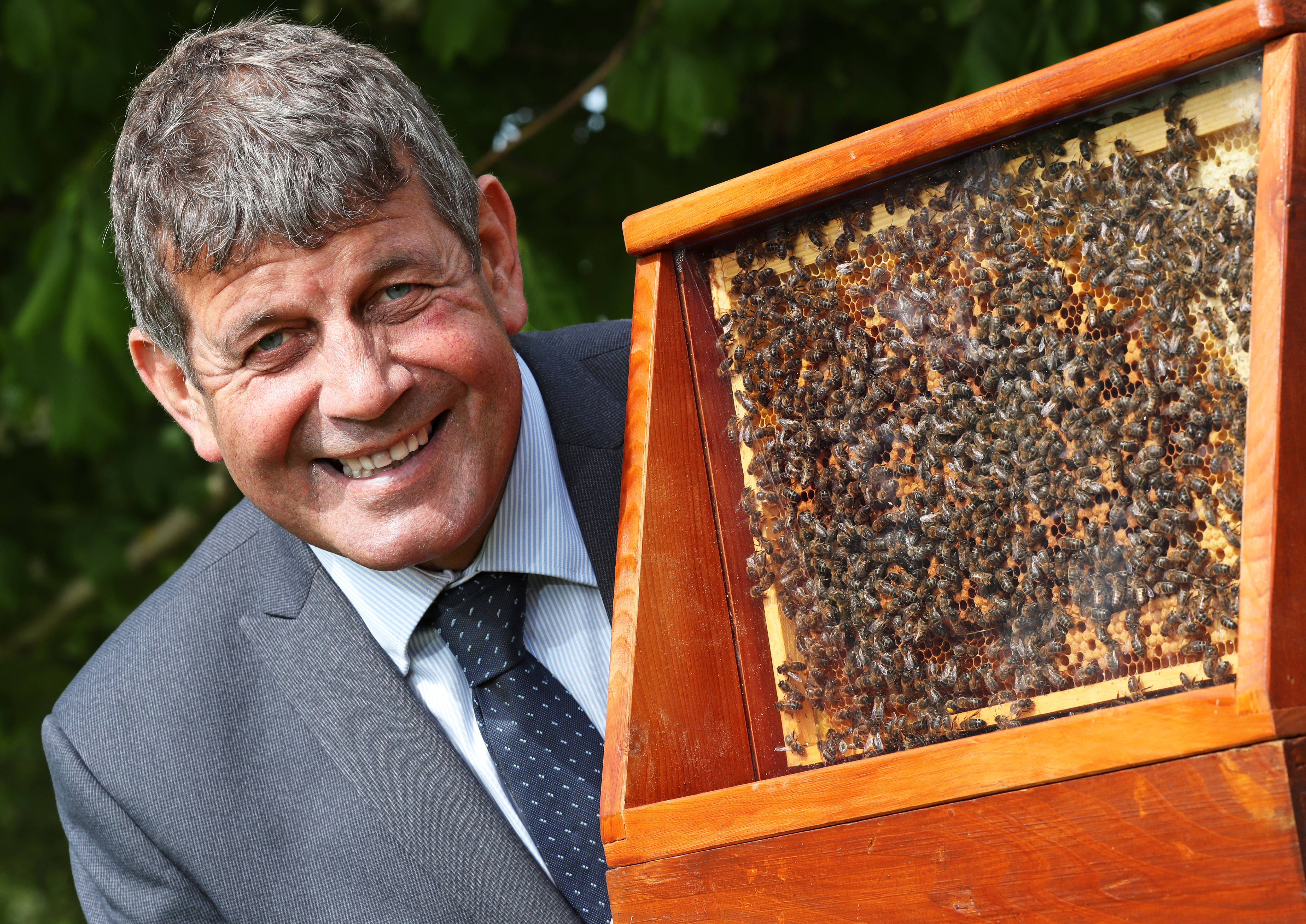 'Host a Hive’ Initiative launched on World Bee Day