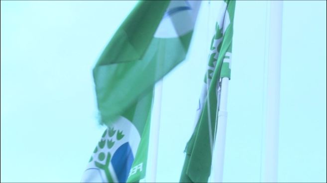 Greenschoolflag