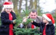 Christmas trees are worth €15 million to the Horticulture industry