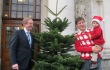 Taoiseach presented with "Supreme Champion" Christmas tree 