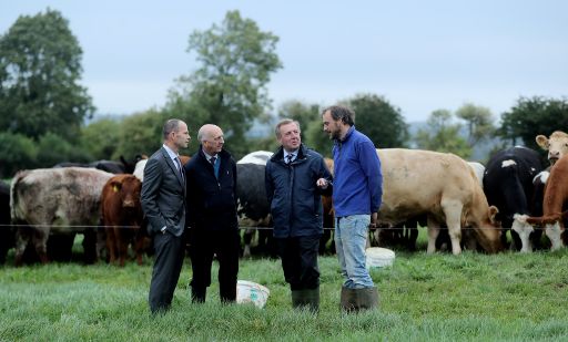National Farmed Animal Health Strategy Consultation Process Launched -  MerrionStreet